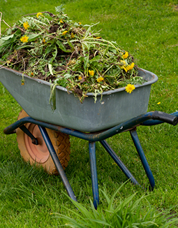 gardening services melbourne